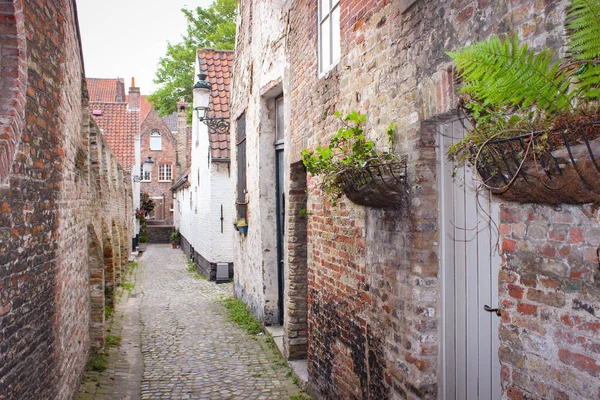 Empty Narrow Medieval Street Brick Houses Bruges Belgium — Stock Photo, Image