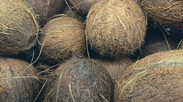 Hindistan cevizlerinin doku arkaplanı