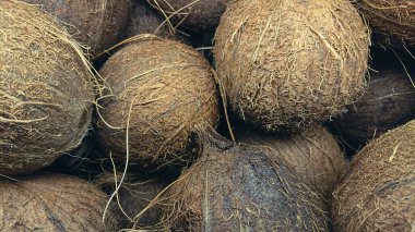 Hindistan cevizlerinin doku arkaplanı