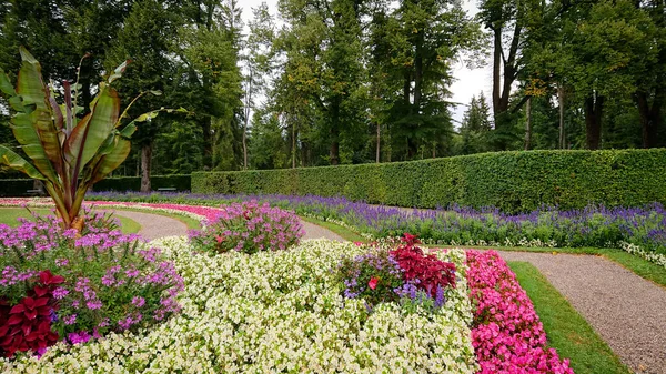 Birçok çalılık Salvia farinacea, aynı zamanda yemek fincanı adaçayı olarak da bilinir veya yemek adaçayı, ve diğer çiçekler büyük parkta.