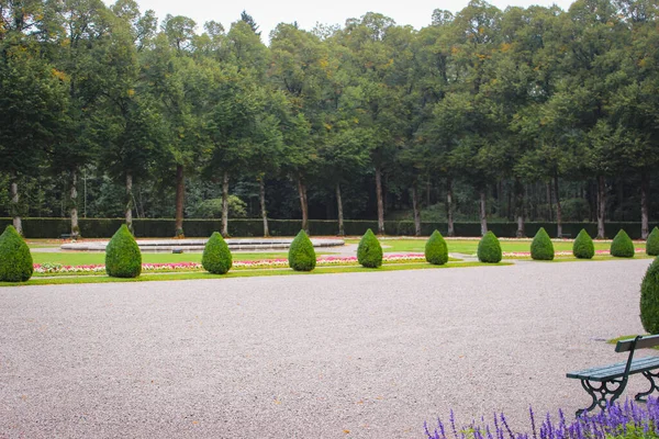 Smooth Rows Cone Shaped Green Bushes Ancient Park — Stock Photo, Image