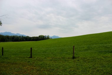Ağaçlarla, çimlerle ve arka planda gri gökyüzüyle güzel yeşil bir manzara.