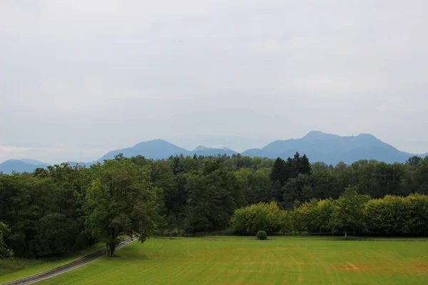 Schöne Grüne Landschaft Mit Bäumen Und Gras Und Grauem Himmel — Stockfoto