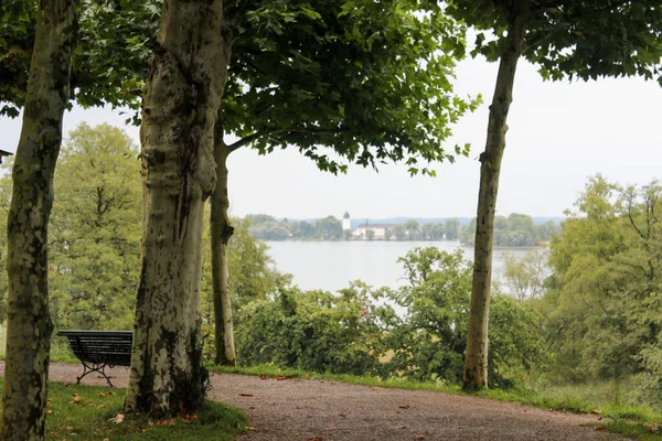 Ağaçlarla, çimlerle ve arka planda gri gökyüzüyle güzel yeşil bir manzara.