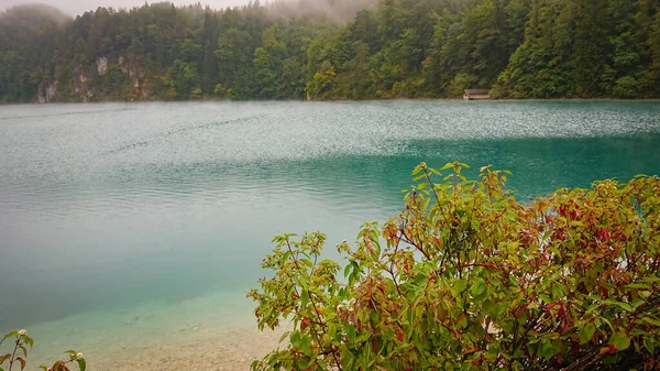 Vistazo Través Los Arbustos Lago Montaña Fondo Las Montañas Están —  Fotos de Stock