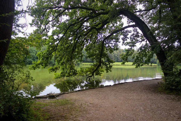 城市公园树木的壮丽景色落在水面上 — 图库照片