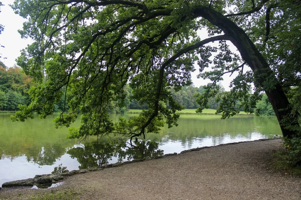 Wspaniały Widok Park Miejski Drzewa Schodzą Gałęzie Wody — Zdjęcie stockowe