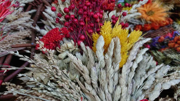 Різнокольорові Букети Сухих Квітів Вух Зернових Культур — стокове фото