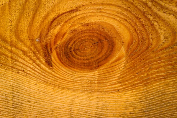 Excelente Fondo Abstracto Con Estructura Madera — Foto de Stock