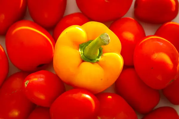 Tomat Matang Dan Paprika Lonceng Diterangi Oleh Sinar Matahari — Stok Foto