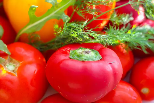 Tomat Matang Dan Paprika Lonceng Diterangi Oleh Sinar Matahari — Stok Foto