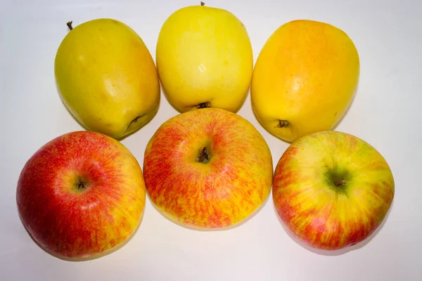 Varias Manzanas Pie Sobre Fondo Blanco —  Fotos de Stock