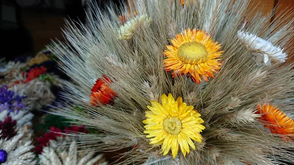 ドライフラワーとシリアル作物の耳で作られた多色の花束 — ストック写真
