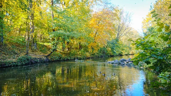 Jesień Miejskim Parku Drzewa Pokryte Kolorowymi Liśćmi — Zdjęcie stockowe
