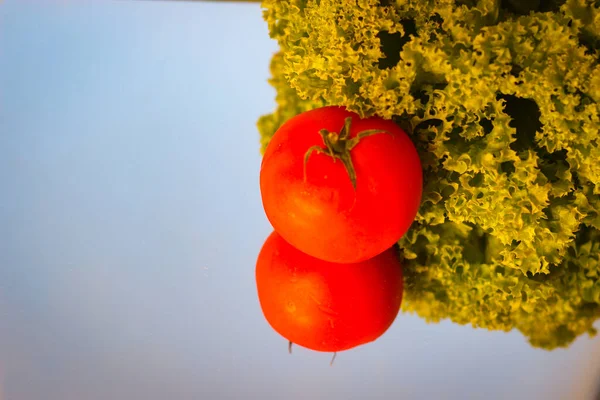 Salatblätter Und Tomaten Vom Sonnenlicht Beleuchtet — Stockfoto
