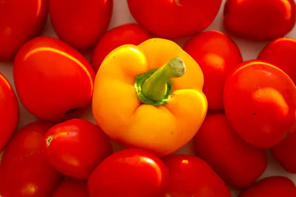 Tomates Maduros Pimentos Iluminados Pelos Raios Sol — Fotografia de Stock