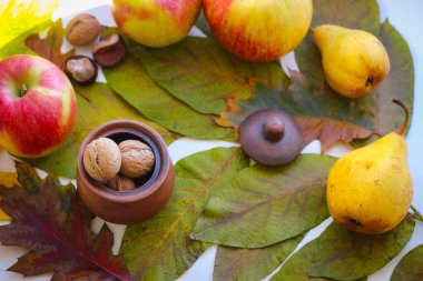 Sonbahar hala hayattır. Yapraklar, fındıklar, elmalar ve kil sürahi