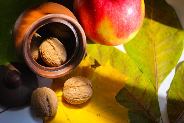 Herbstliches Stillleben Blätter Nüsse Äpfel Und Ein Tonkrug — Stockfoto