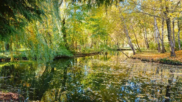 Jesień Miejskim Parku Drzewa Pokryte Kolorowymi Liśćmi — Zdjęcie stockowe