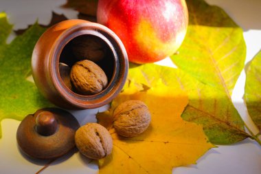 Sonbahar hala hayattır. Yapraklar, fındıklar, elmalar ve kil sürahi