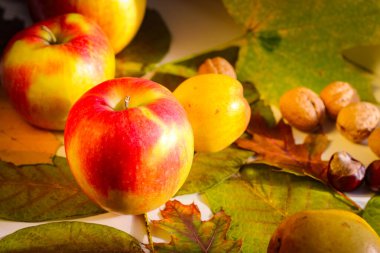 Fındık ve elmalarla dolu bir sonbahar