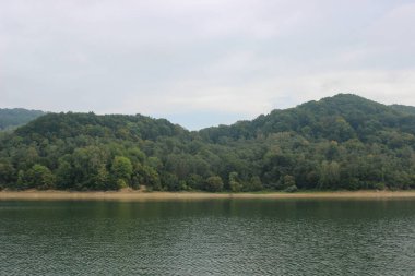 Büyük ve güzel bir dağ gölünün yüzeyine bakıyorum.