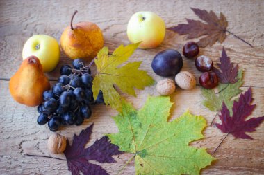 Olgun sonbahar meyveleri bir arada durgun bir hayat yaratıyor. Siyah üzümler, erikler, armutlar ve elmalar.