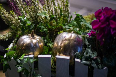 Cadılar bayramının akşamları atfedilen özellikleri. Fener ve balkabağı