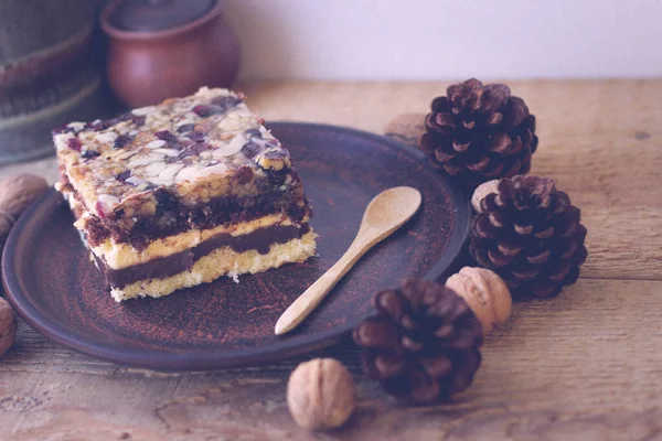 Piece Tasty Chocolate Nut Cake Clay Plate Walnuts Pine Cones — Stock Photo, Image