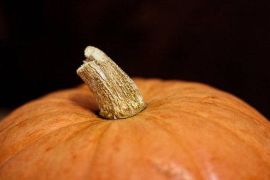 Sonbaharın (sonbahar) harika bir fotoğrafı. Büyük balkabağının tepesinde