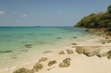 Dalga deniz ve plaj.