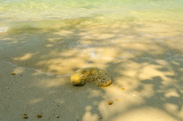 Kamienie na plaży i morza woda. — Zdjęcie stockowe
