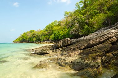 Güzel ada ve Zümrüt denizde tropikal: Rayong, Tayland