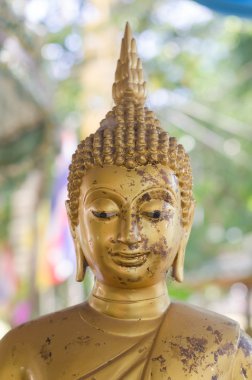 Yüz altın buddha heykel, Tayland.