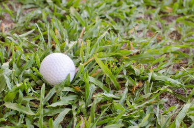 Bahçedeki golf topu..
