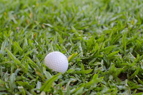 Golfball auf dem Rasen. — Stockfoto