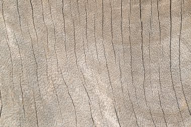 eski ahşap arka plan.