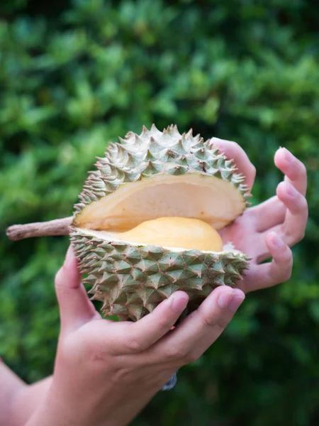 Agricultor Asiático Explotación Durian Rey Fruta — Foto de Stock