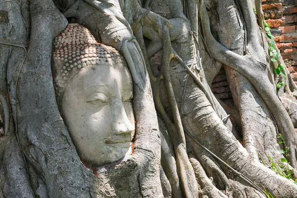 Cabeça Imagem Buddha Raízes Árvores Templo Wat Mahathat Tailândia — Fotografia de Stock