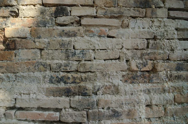 Mur z cegły — Zdjęcie stockowe