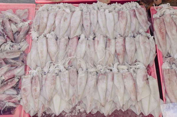 Raw Squid on sale in Thai market. — Stock Photo, Image