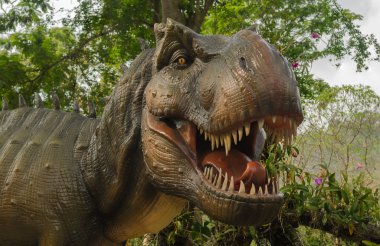 Agresif T Rex.