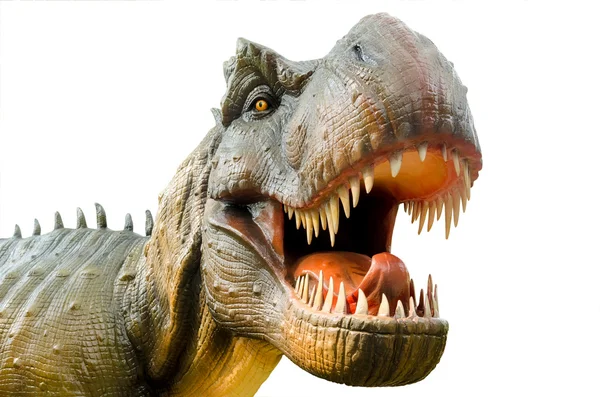 Beyaz arka plan üzerinde agresif T Rex.