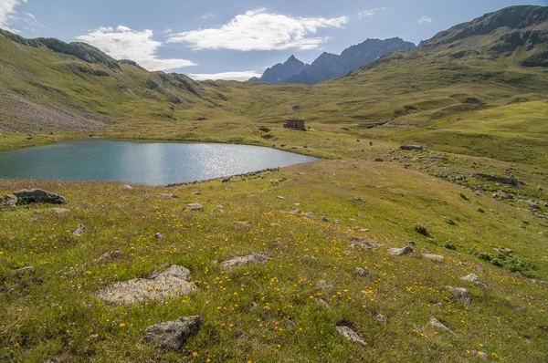 Viola Valley — Stockfoto