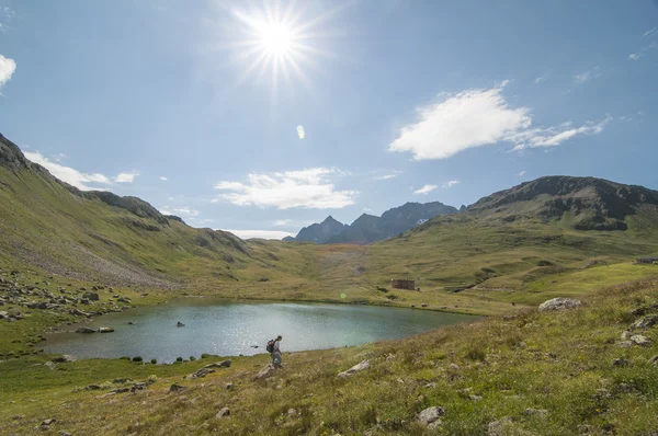 Viola Valley — Stockfoto