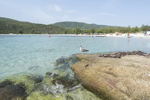 Cala Pira beach — Stock Photo, Image