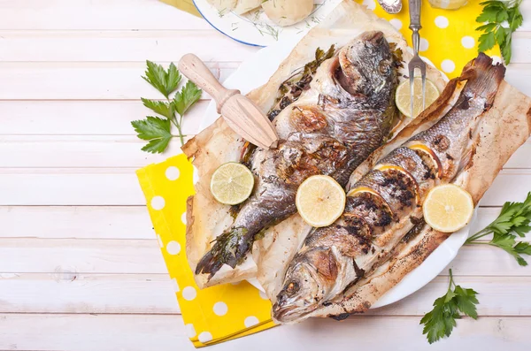 Grillad dorado och guldsparid Stockbild