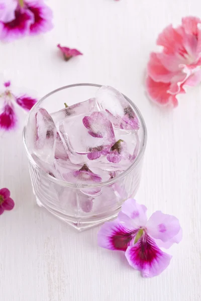 Cubos de hielo de flor —  Fotos de Stock