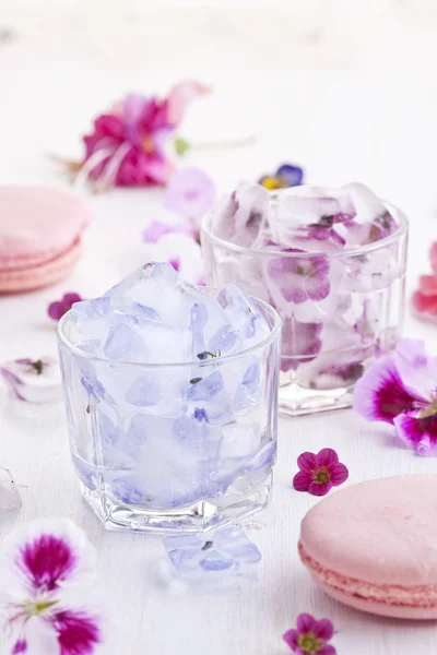 Cubos de gelo de flor Fotografia De Stock
