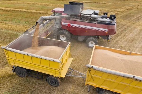 Top view of the process of loading grain from the combine to the tractor trailer